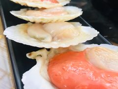 扇贝-丽江庭院之爱在路上(西单店)