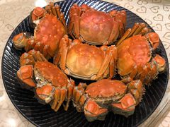 清蒸大闸蟹-王宝和酒家(黄浦店)