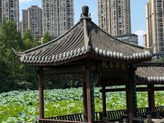 -龙头寺公园