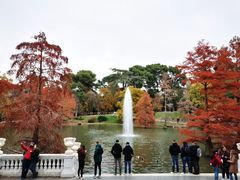 -丽池公园