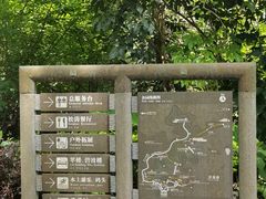 -广州市流溪河国家森林公园