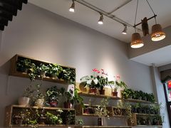 -土桥手掌鸡·26年灌县老味道(都江堰店)