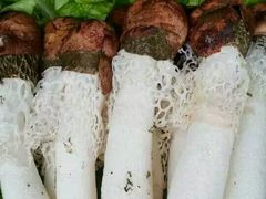 -楠柏弯休闲山庄(梨花溪店)