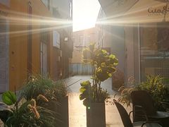 -Seesaw Coffee(深圳深业上城店)