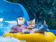 -郑州方特水上乐园