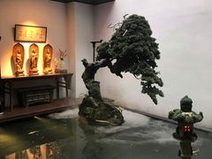 -觀芷隐轩