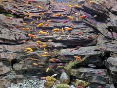 -多彩贵州城极地海洋世界