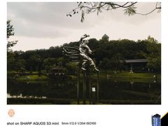 -王借岗森林公园