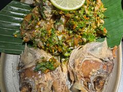 -Ameigo梅果·云贵川bistro(长宁来福士店)