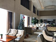 -新都绿城喜来登酒店大堂吧