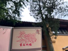 -灵谷景区