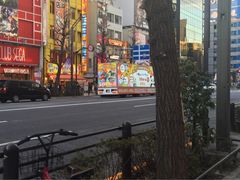 iphone_upload_pic-秋叶原电器街