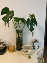 -美肤盾祛痘·问题肌头疗管理中心