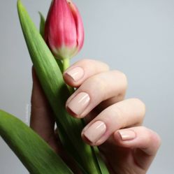 -Halo美甲美睫
