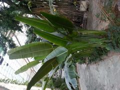 android_upload_pic-龙达温泉生态城