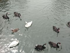 -长白岛森林公园