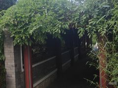 -北坞公园