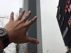 -上海浦东康桥绿地假日酒店