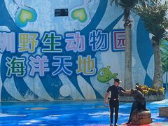 -深圳野生动物园