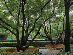 -徐家汇源景区-衡山公园