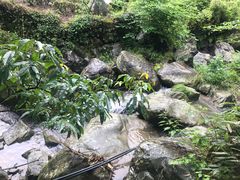 -藏龙百瀑风景区