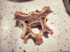 -京韵胡同·酱香羊蝎子火锅涮肉(长寿路店)