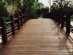 -上海崇明金茂凯悦酒店