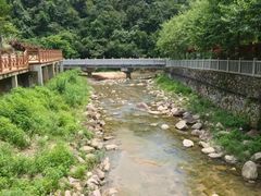 -广州白江湖森林公园