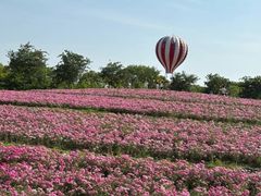 -歌斐颂巧克力小镇