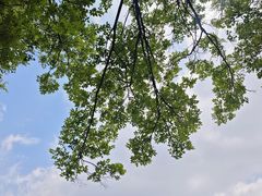 -济南国际园博园