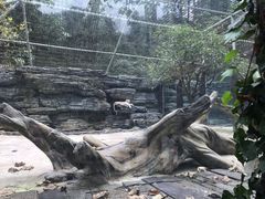 -贵州森林野生动物园