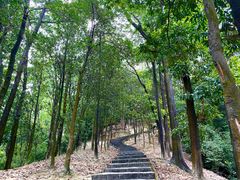 -火炉山森林公园