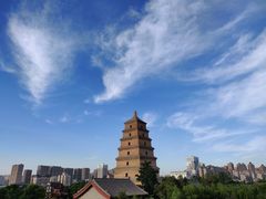 -清真·锦翔炝锅鱼(明德门店)