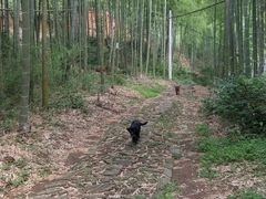 -众神白水涧景区