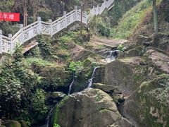 -南山植物园