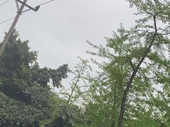 -龙头寺公园
