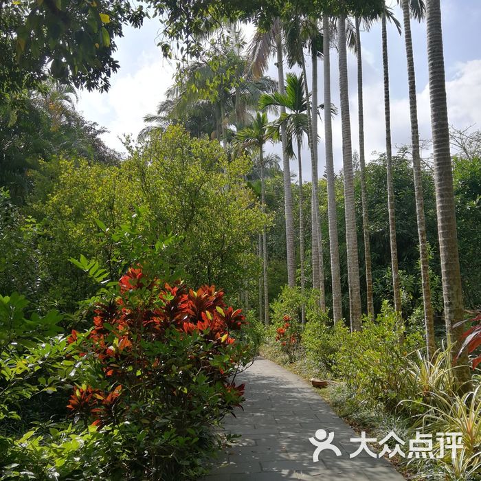 兴隆南国热带雨林游览区图片