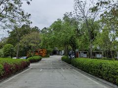 -巴山·烤全羊(高新总店)