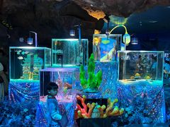 -南昌融创海世界