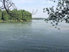 -东湖落雁景区