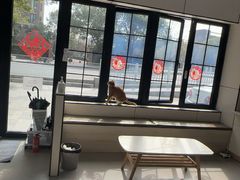 -凯瑞希宠物医院·狂犬免疫·微创·皮肤科