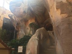 -杭州开元森泊度假乐园