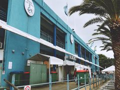 -悉尼鱼市场