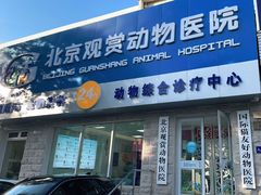 -北京观赏动物医院·24小时大型综合·猫专科·异宠专科