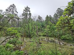 -燕子沟风景区