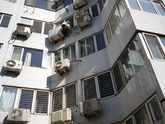 -北京市宏庙小学