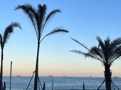 -西涌国际滨海旅游区