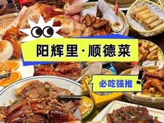 -凯盈阁·顺德私房菜·桑拿鸡