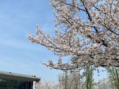 -上海自然博物馆