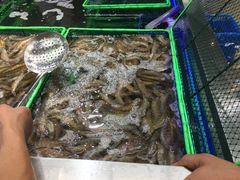 -盒马鲜生(大成店)